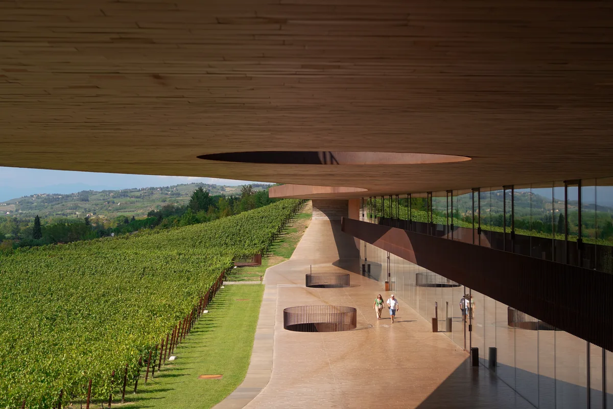 A curved terrace under a timber canopy beside a vineyard